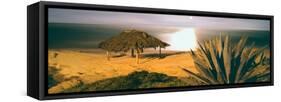 High Angle View of Windansea Beach, La Jolla, San Diego, California, Usa-null-Framed Stretched Canvas