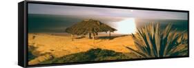 High Angle View of Windansea Beach, La Jolla, San Diego, California, Usa-null-Framed Stretched Canvas