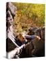 High Angle View of Young Woman Rock Climbing-null-Stretched Canvas