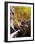 High Angle View of Young Woman Rock Climbing-null-Framed Photographic Print