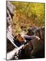 High Angle View of Young Woman Rock Climbing-null-Mounted Photographic Print