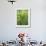 High Angle View Through Tree Fern, Monteverde Natural Reserve, Costa Rica-Juan Manuel Borrero-Framed Photographic Print displayed on a wall