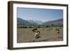 High Atlas, Morocco-Vivienne Sharp-Framed Photographic Print