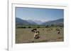 High Atlas, Morocco-Vivienne Sharp-Framed Photographic Print