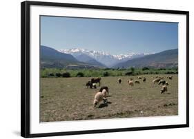 High Atlas, Morocco-Vivienne Sharp-Framed Photographic Print