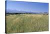 High Atlas Mountains from Near Marakesh, Morocco-Vivienne Sharp-Stretched Canvas