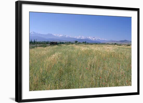 High Atlas Mountains from Near Marakesh, Morocco-Vivienne Sharp-Framed Photographic Print