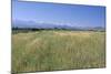 High Atlas Mountains from Near Marakesh, Morocco-Vivienne Sharp-Mounted Photographic Print