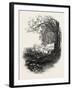 High Beech, Epping Forest, Uk-null-Framed Giclee Print