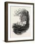 High Beech, Epping Forest, Uk-null-Framed Giclee Print