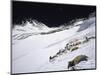 High Camp, Nepal-Michael Brown-Mounted Photographic Print