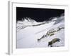 High Camp, Nepal-Michael Brown-Framed Photographic Print