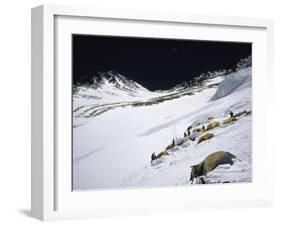 High Camp, Nepal-Michael Brown-Framed Photographic Print