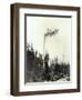 High Climber Topping Tree, 1923-Asahel Curtis-Framed Giclee Print