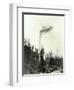 High Climber Topping Tree, 1923-Asahel Curtis-Framed Giclee Print