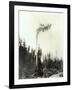 High Climber Topping Tree, 1923-Asahel Curtis-Framed Giclee Print