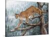 High Climber-Jeff Tift-Stretched Canvas