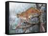 High Climber-Jeff Tift-Framed Stretched Canvas