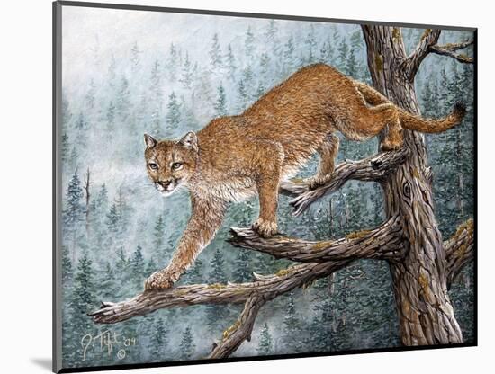 High Climber-Jeff Tift-Mounted Giclee Print