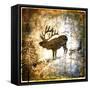 High Country Elk-LightBoxJournal-Framed Stretched Canvas