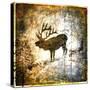 High Country Elk-LightBoxJournal-Stretched Canvas