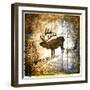 High Country Elk-LightBoxJournal-Framed Giclee Print