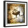 High Country Elk-LightBoxJournal-Framed Giclee Print