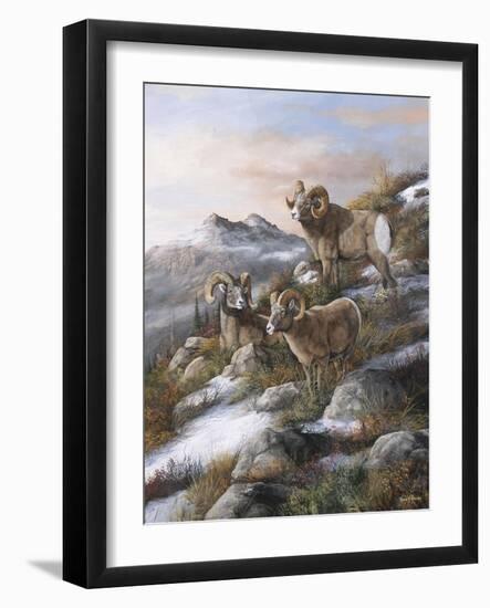 High Country Kings-Trevor V. Swanson-Framed Giclee Print