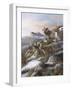 High Country Kings-Trevor V. Swanson-Framed Giclee Print