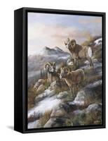 High Country Kings-Trevor V. Swanson-Framed Stretched Canvas