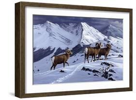 High Country Rams-Wilhelm Goebel-Framed Giclee Print