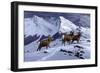 High Country Rams-Wilhelm Goebel-Framed Giclee Print