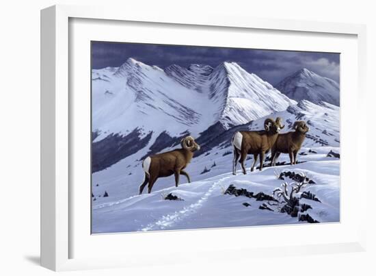 High Country Rams-Wilhelm Goebel-Framed Giclee Print