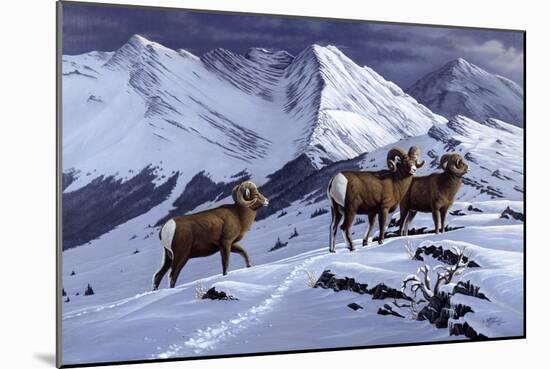 High Country Rams-Wilhelm Goebel-Mounted Giclee Print