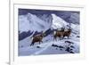 High Country Rams-Wilhelm Goebel-Framed Giclee Print