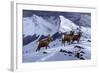 High Country Rams-Wilhelm Goebel-Framed Giclee Print