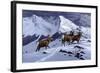 High Country Rams-Wilhelm Goebel-Framed Giclee Print