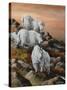 High Country Sunset-Trevor V. Swanson-Stretched Canvas