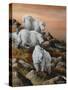 High Country Sunset-Trevor V. Swanson-Stretched Canvas