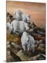 High Country Sunset-Trevor V. Swanson-Mounted Giclee Print