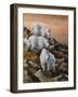 High Country Sunset-Trevor V. Swanson-Framed Giclee Print