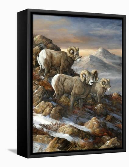 High Country Trio-Trevor V. Swanson-Framed Stretched Canvas