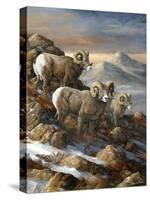 High Country Trio-Trevor V. Swanson-Stretched Canvas