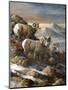 High Country Trio-Trevor V. Swanson-Mounted Premium Giclee Print