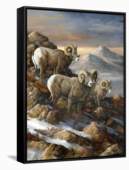 High Country Trio-Trevor V. Swanson-Framed Stretched Canvas