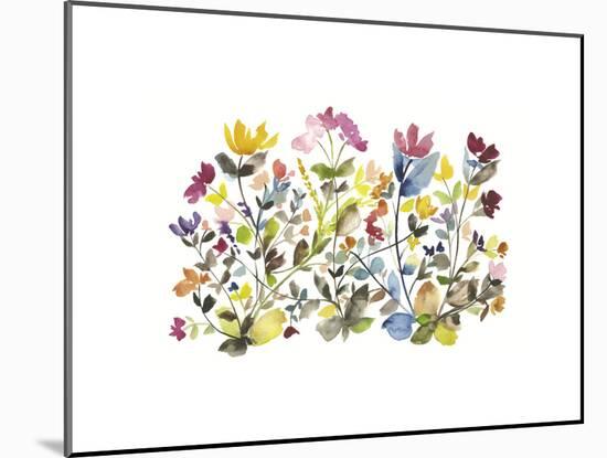 High Country Wildflowers N. 3-Kiana Mosley-Mounted Giclee Print