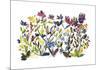 High Country Wildflowers-Kiana Mosley-Mounted Giclee Print