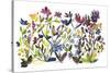 High Country Wildflowers-Kiana Mosley-Stretched Canvas