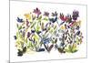 High Country Wildflowers-Kiana Mosley-Mounted Art Print