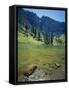 High Creek Lake and Bear River Range, Mount Naomi Wilderness, Wasatch-Cache National Forest, Utah,-Scott T^ Smith-Framed Stretched Canvas